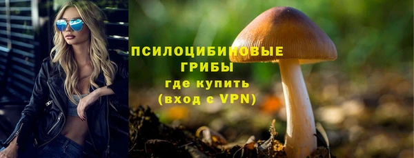 прущие крисы Богородицк