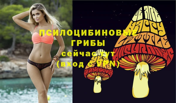 прущие крисы Богородицк