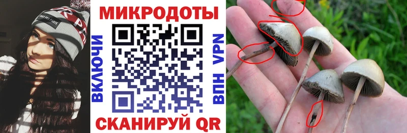 Псилоцибиновые грибы мухоморы как найти закладки Верхняя Пышма