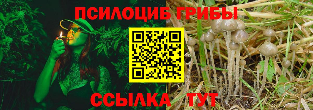Галлюциногенные грибы MAGIC MUSHROOMS Верхняя Пышма