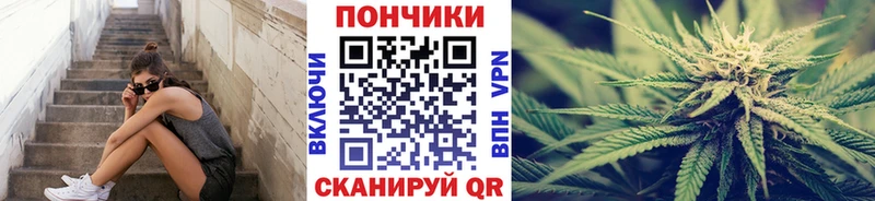 Бошки марихуана ГИДРОПОН  наркотики  Верхняя Пышма 